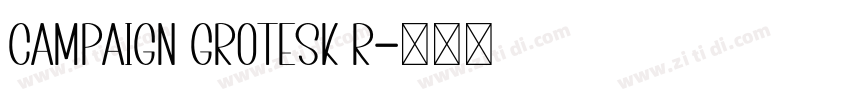 Campaign Grotesk R字体转换